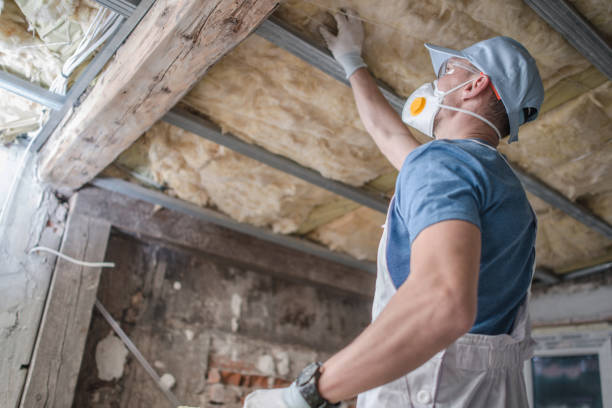Best Blown-in Insulation in Urbana, MD